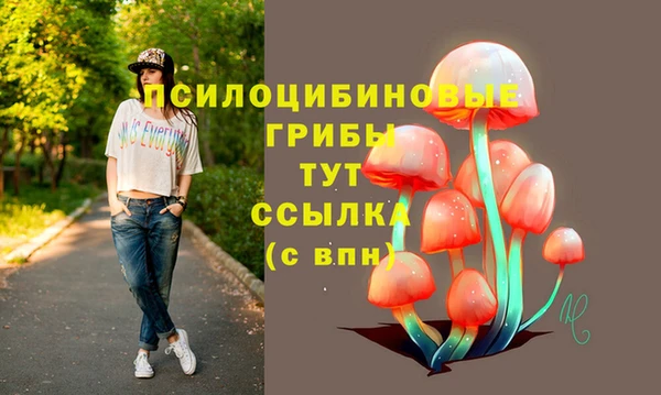 соль курить ск Кукмор
