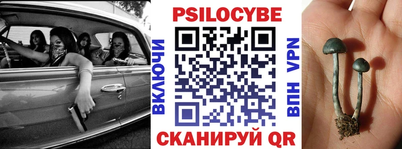 Псилоцибиновые грибы Psilocybe  Шелехов 
